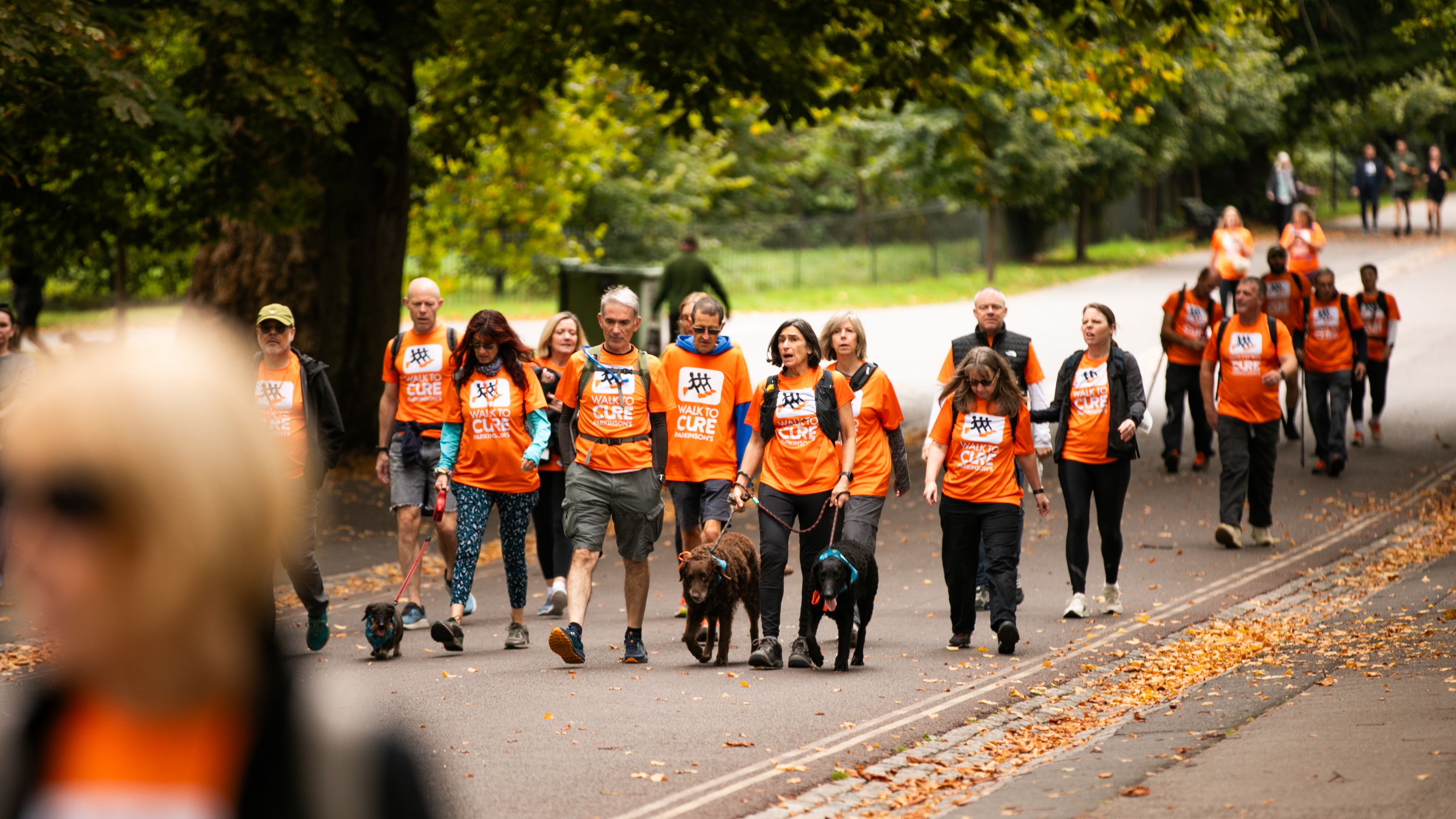 A group of fundraisers walking through a park.